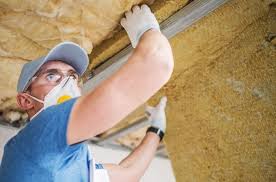 Best Insulation Removal  in Worthington, KY