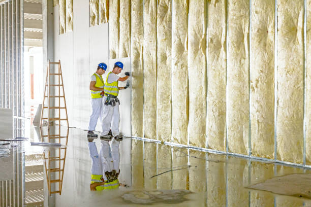 Best Attic Insulation Installation  in Worthington, KY